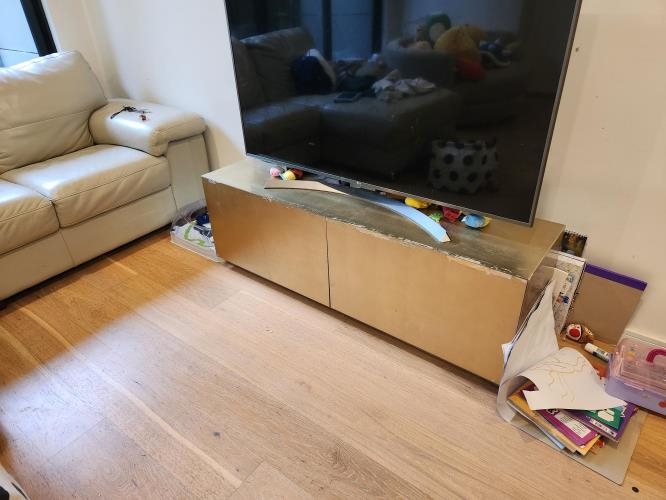 Second-hand Entertainment Unit