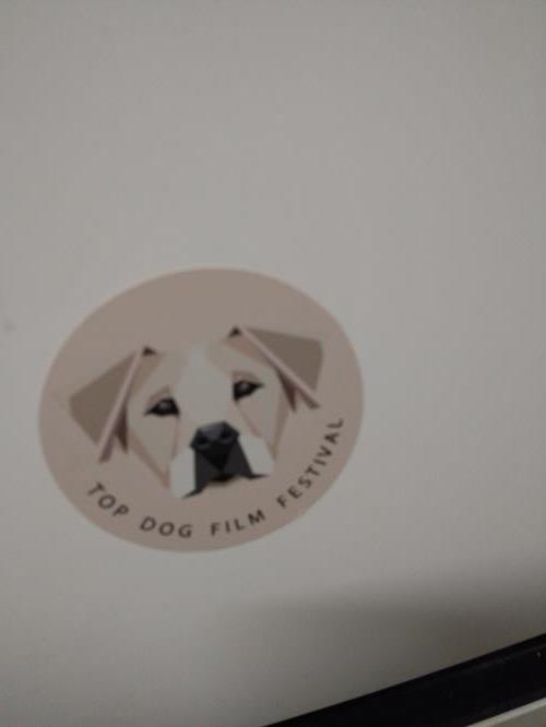 Second-hand Hisense 205L Top Mount Fridge - Photo 11)