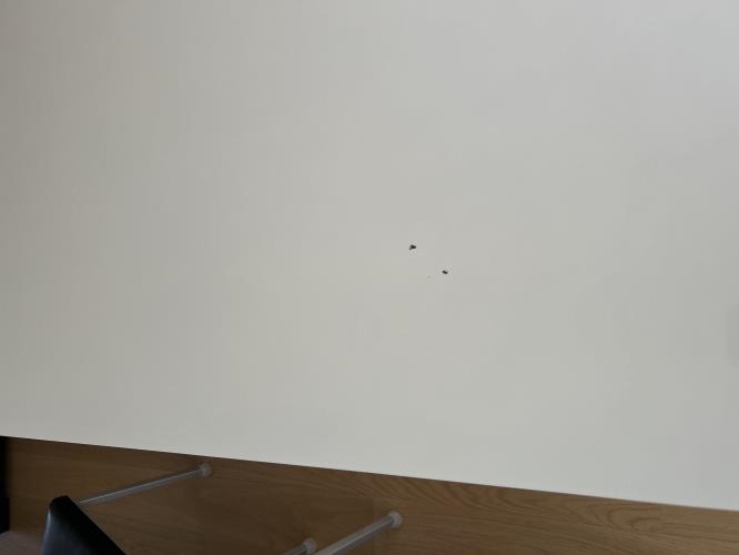 Second-hand Dining Table with 6 Chairs - Photo 11)