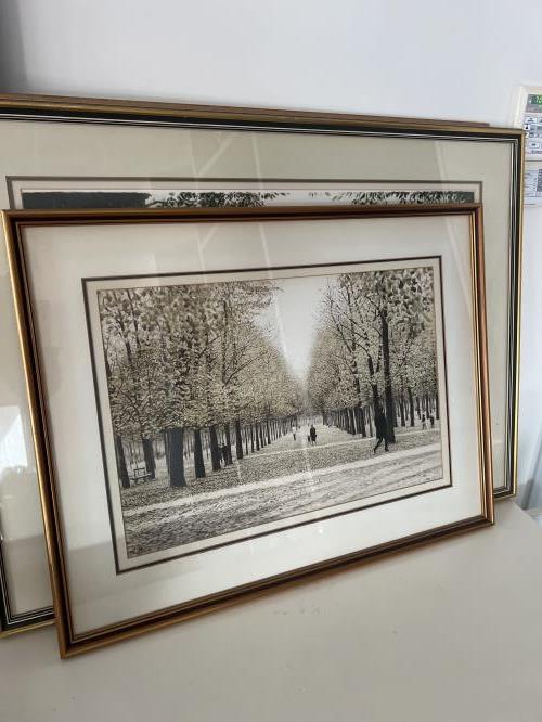 Second-hand Picture - Avenue of Trees - Photo 2)