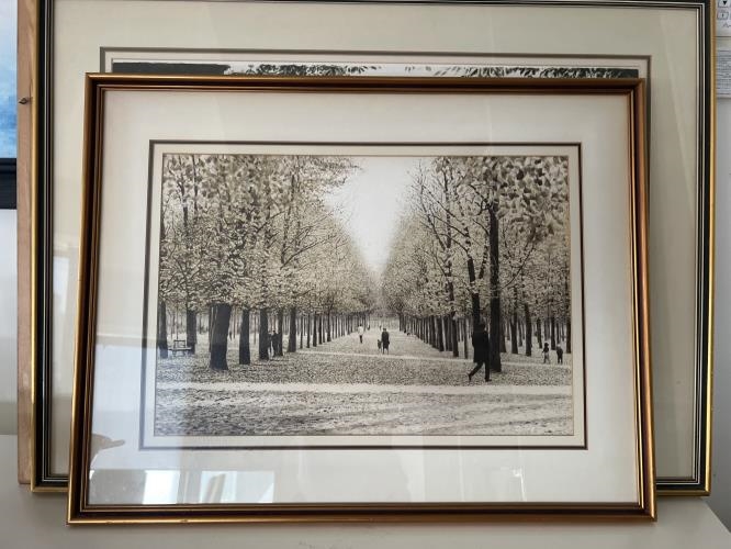 Second-hand Picture - Avenue of Trees - Photo 3)