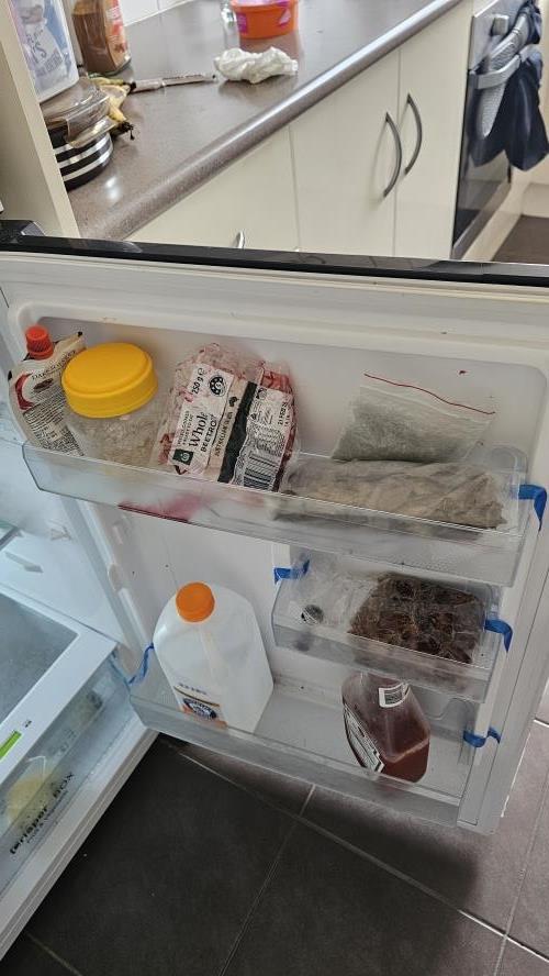 Second-hand Chiq 202L Top Mount Fridge - Photo 4)