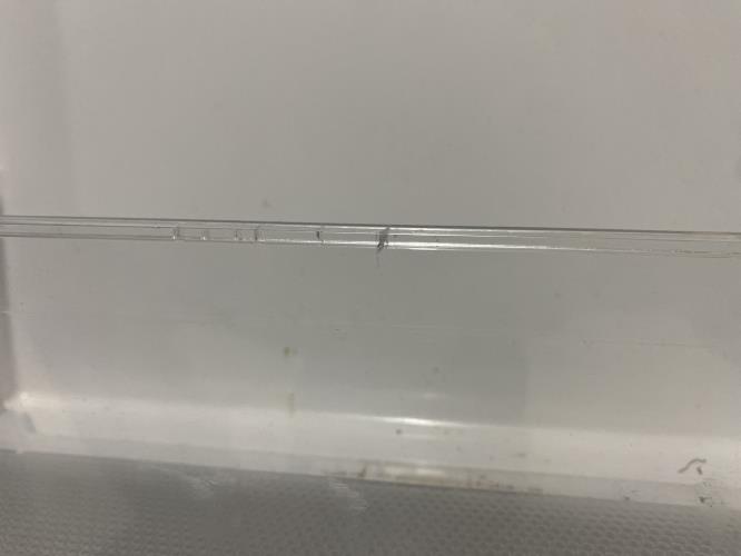 Second-hand Kelvinator 245L Top Mount Fridge - Photo 5)