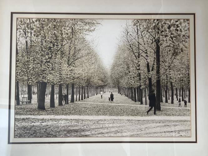 Second-hand Picture - Avenue of Trees - Photo 5)