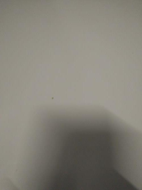 Second-hand Extendable Dining Table (no chairs) - Photo 6)