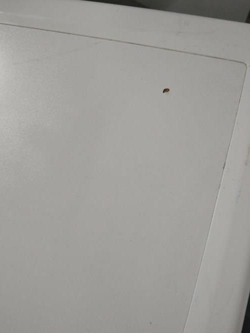 Second-hand Euromaid 7kg Front Load Washing Machine - Photo 7)