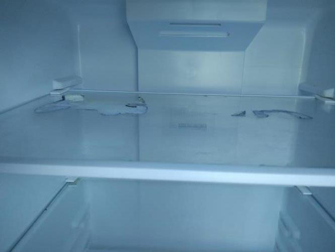 Second-hand Kogan 236L Top Mount Fridge - Photo 7)